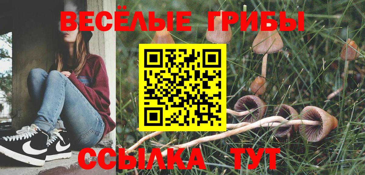 Псилоцибиновые грибы GOLDEN TEACHER Кирово-Чепецк